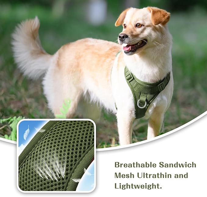 No Pull Dog Harness for Small Medium Large Dogs - Adjustable Two-Layer Mesh Dog Vest with Dual Clip, Escape Proof, Quick Release, Lightweight Breathable Mesh for Walking Hiking (Misty Green,XL)
