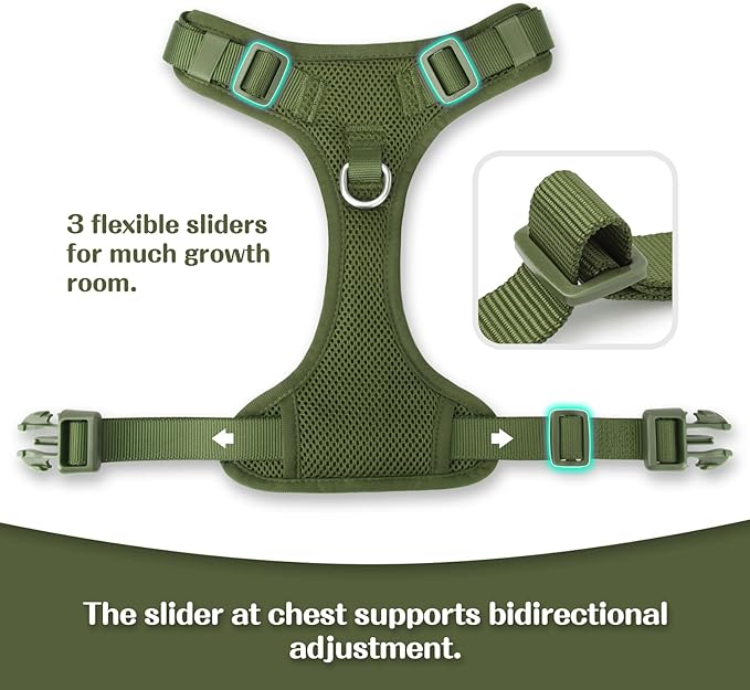 No Pull Dog Harness for Small Medium Large Dogs - Adjustable Two-Layer Mesh Dog Vest with Dual Clip, Escape Proof, Quick Release, Lightweight Breathable Mesh for Walking Hiking (Misty Green,M)