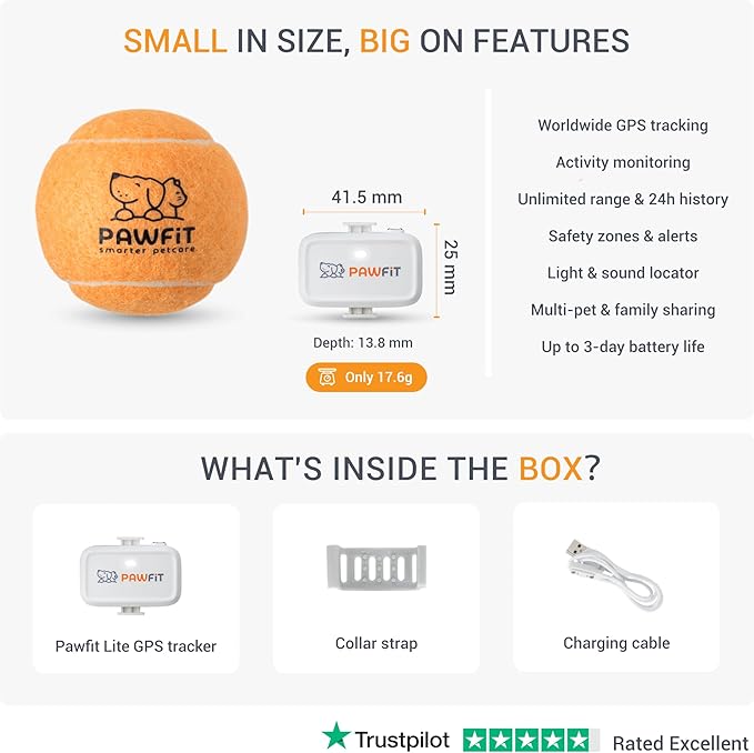 Lite for Small Dogs 4g GPS Tracker | Real Time Tracking | Activity Monitoring |Location History | Unlimited Range | Charcoal Grey