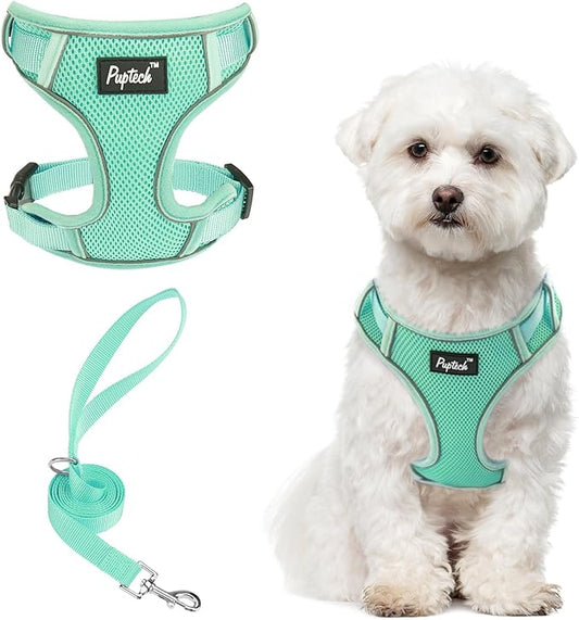 PUPTECK Small Dog Harness and Leash Set, No Pull Adjustable Puppy Cat Harness, Reflective Soft Mesh Pet Vest Small Sized