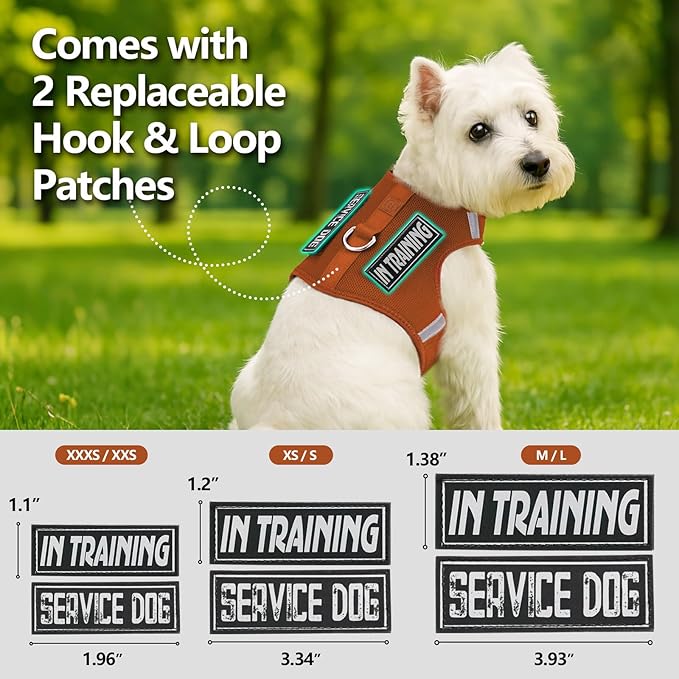 Dog Harness for Puppy – Adjustable Reflective Easy Put On Soft Mesh Vest for Small Dogs with 2 Patches (Carmel Brown,S)