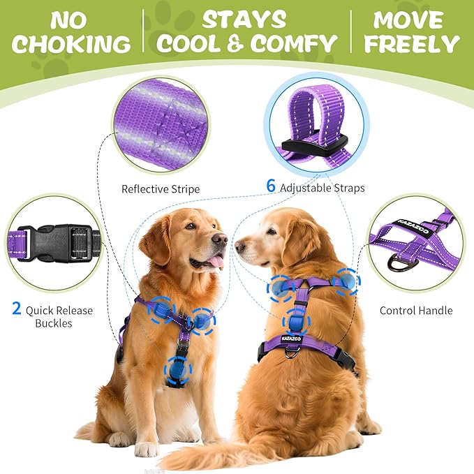No-Pull Harness,Y-Shaped Design,Buckle-Neck Balance Harness with Reflective Stitching, Ideal for Dog Training and Night Walking, Padded Handle, Durable High-Tensile Nylon-Purple-S