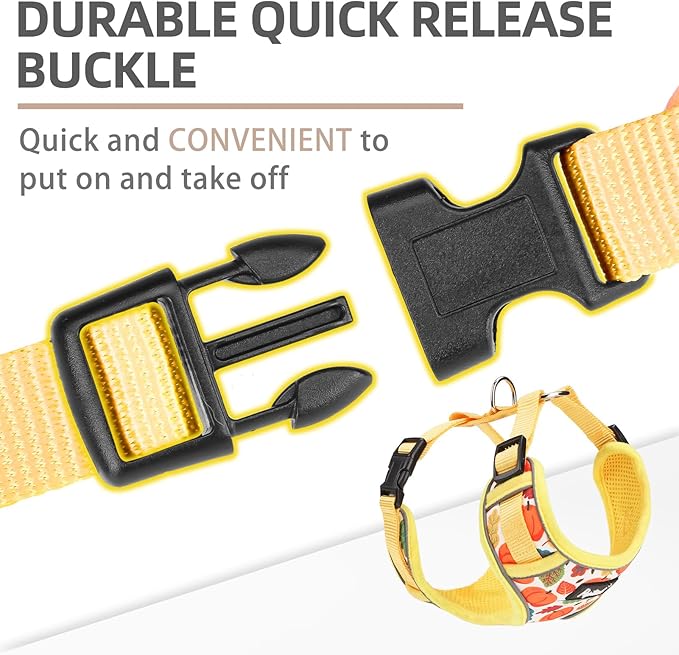 PUPTECK Small Dog Harness and Leash Set, No Pull Adjustable Puppy Cat Harness, Reflective Soft Mesh Pet Vest Small Sized