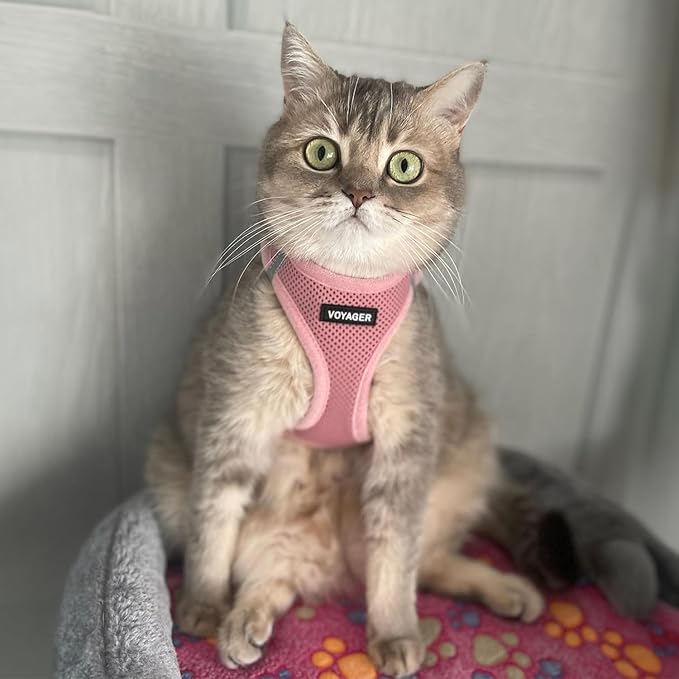 Best Pet Supplies Voyager Step-in Air Harness - All Weather Mesh, Reflective, No Pull Harness for Dogs, Cats - Secure with Hook & Loop Fastener, Buckle, Double D-Rings - Pink, M