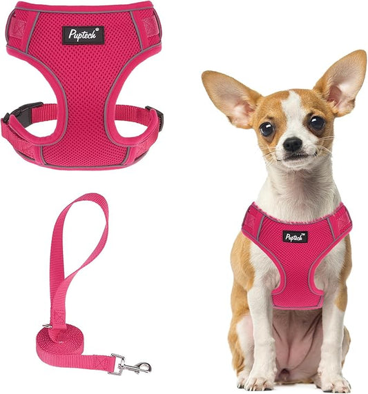 PUPTECK Small Dog Harness and Leash Set, No Pull Adjustable Puppy Cat Harness, Reflective Soft Mesh Pet Vest Small Sized
