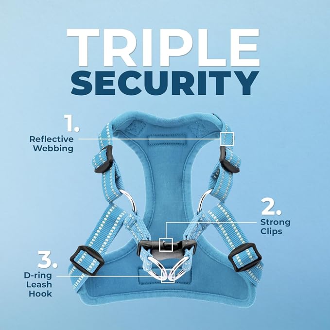 Best Pet Supplies Voyager Adjustable Dog Harness Leash Set with Reflective Stripes for Walking Heavy-Duty Full Body No Pull Vest with Leash D-Ring, Breathable All-Weather - Baby Blue, M