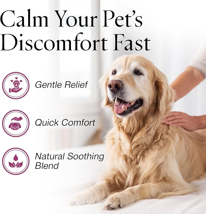 Jax N Daisy don t let Your dog Itch Lotion Itch Relief for Dogs 16oz Treatment and Skin Soother for Dogs With Itchiness dog Grooming Supplies Anti for