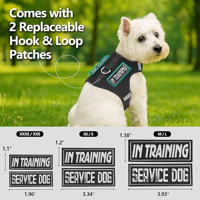 Dog Harness for Puppy – Adjustable Reflective Easy Put On Soft Mesh Vest for Small Dogs with 2 Patches (Black,L)