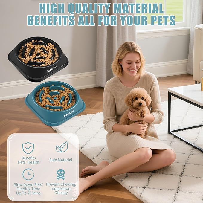2 Pack Slow Feeder Dog Bowls for Healthy Eating, Non-Slip and Anti-Choking Design, Reduces Bloating & Overeating for Small Dogs, Easy to Clean