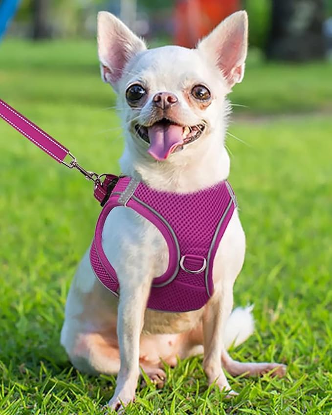 Joytale Small Dog Harness, Breathable Mesh Step-in Vest, Reflective Soft Padded Harnesses for Puppies and Extra Small Dogs, Hot Pink, XS