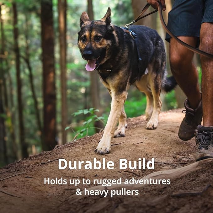 Ruffwear, Front Range Dog Harness, Reflective Soft Padded Everyday Harness with Dual Leash Clips, Adjustable and Lightweight Fit for Training or Walking for All Dogs, Coastal Mountains, X-Small