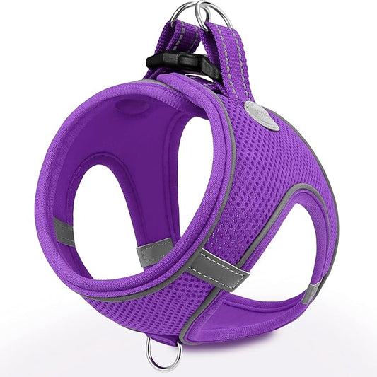 Joytale Small Dog Harness, Breathable Mesh Step-in Vest, Reflective Soft Padded Harnesses for Cats and Puppies Dogs, Purple, XXXS