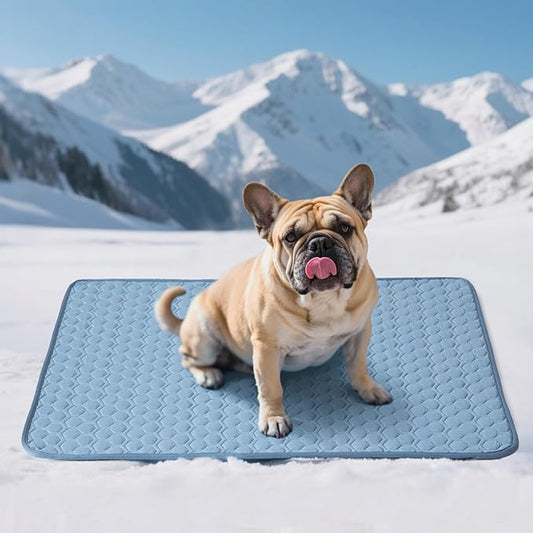 Soulbond Cooling Mat for Large Dogs - 29"x40" Washable Cooling Pad for Cats, QMAX>0.3, Anti-Slip Bottom, Portable Summer Cool Pet Bed Pad for Outdoor/Indoor/Cars/Travel Use, Ocean Blue