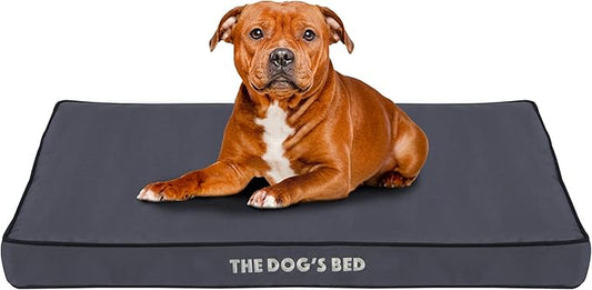 The Dog’s Bed Orthopedic Dog Bed, Large Grey with Black Trim, Waterproof, Supportive Dog Bed with Washable Replaceable Covers, Veterinary Approved