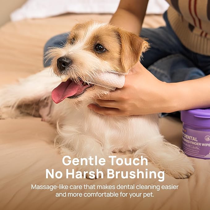 HICC PET Dog Dental Wipes & Cat Toothbrush and Toothpaste Alternative, Teeth Cleaning Wipes for Dogs & Puppies, Remove Plaque & Tartar, Fresh Breath Oral Hygiene, Pet Oral Care Wipes, 50 Count