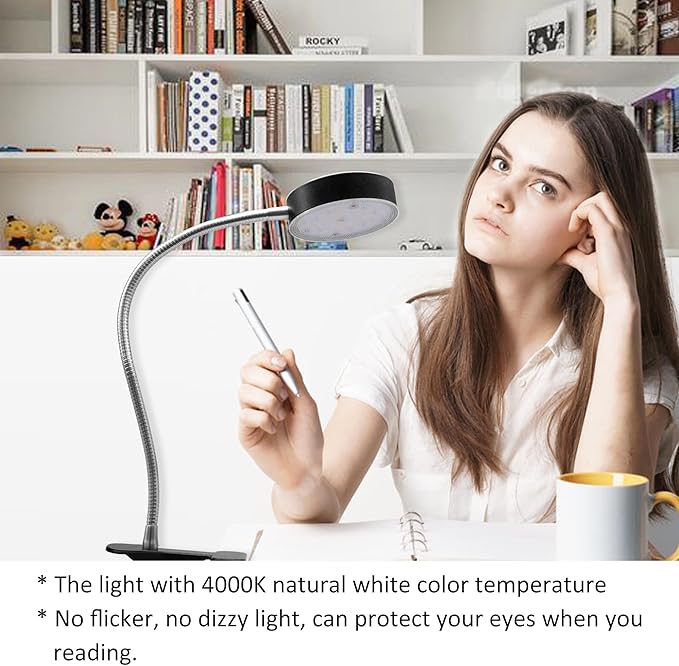 Clip-On LED Desk Lamp with Switch, 19.25” Flexible Gooseneck, 4.5W 260LM 4000K Cool White Clamp Desktop Light, 65” Cord Small Desk Light for Home, Office, Study, ETL Listed