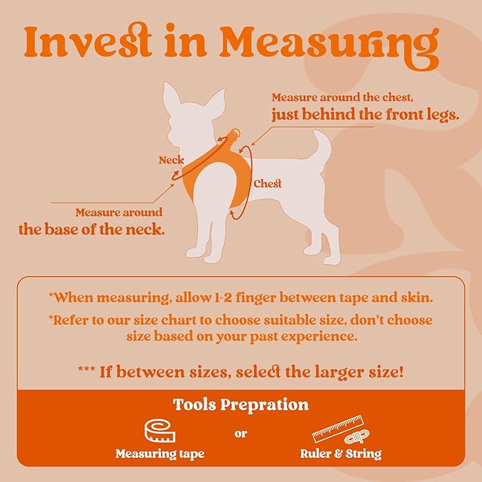 rabbitgoo Small Dog Harness, Step-in Soft Mesh Puppy Vest with Safety Buckle, Breathable Reflective Pet Harness for Small Medium Dogs, Orange L