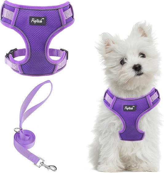 PUPTECK Small Dog Harness and Leash Set, No Pull Adjustable Puppy Cat Harness, Reflective Soft Mesh Pet Vest Small Sized