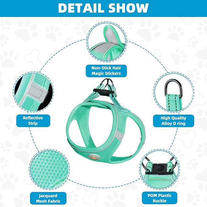 Dog Harness and Leash Set, No Pull Soft Mesh Puppy Harness for Small Medium Dogs, Cats - Step in Reflective Breathable Lightweight Vest Harness for Walking, Training - Green, L