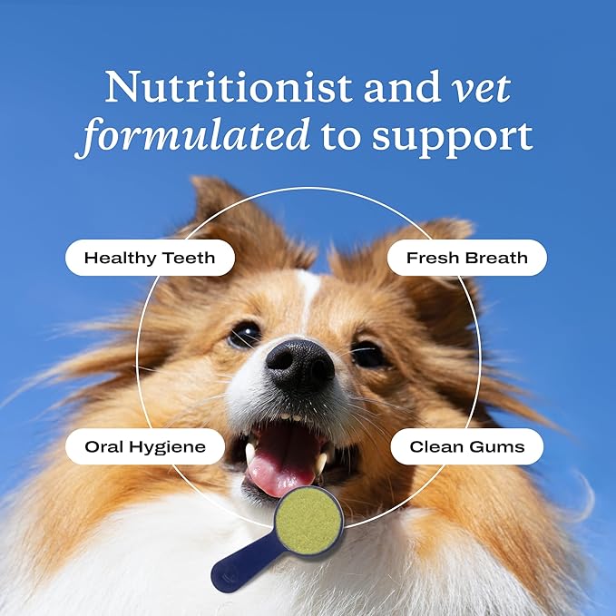 PetLab Co. ProBright Dental Powder - Dog Breath Freshener - Teeth Cleaning Made Easy – Targets Tartar & Bad Breath - Formulated for Medium Size Dogs - Packaging May Vary