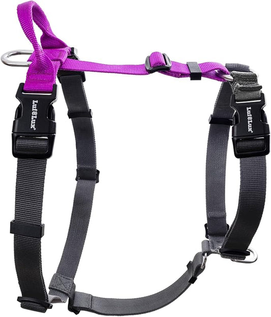 Non-Restrictive Large Dog Harness, Easy Walk Freedom No Pull Harness, Keep Balance, Neck-Buckle, Every Part is Adjustable, Back and Front Leash Clips, Purple/Black