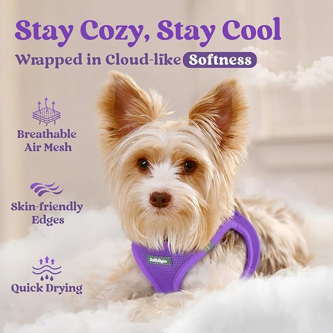 rabbitgoo Small Dog Harness, Step-in Soft Mesh Puppy Vest with Safety Buckle, Breathable Reflective Pet Harness for Small Sized Dogs, Purple M