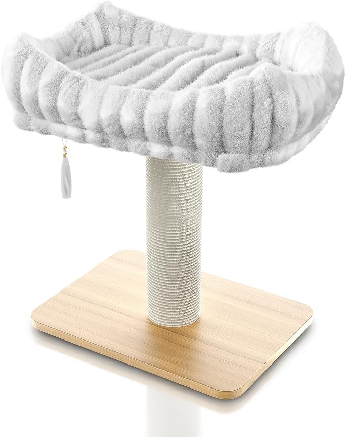 Modern Scratching Post for Indoor Cats - 15” High Cat Scratching Post with Bed Breeds - 15.7” x 11.6” Removable & Washable Cushion (Natural Wood Post with White Bed)