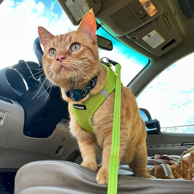 Best Pet Supplies Voyager Step-in Air Harness - All Weather Mesh, Reflective, No Pull Harness for Dogs, Cats - Secure with Hook & Loop Fastener, Buckle, Double D-Rings - Lime Green, XXXS