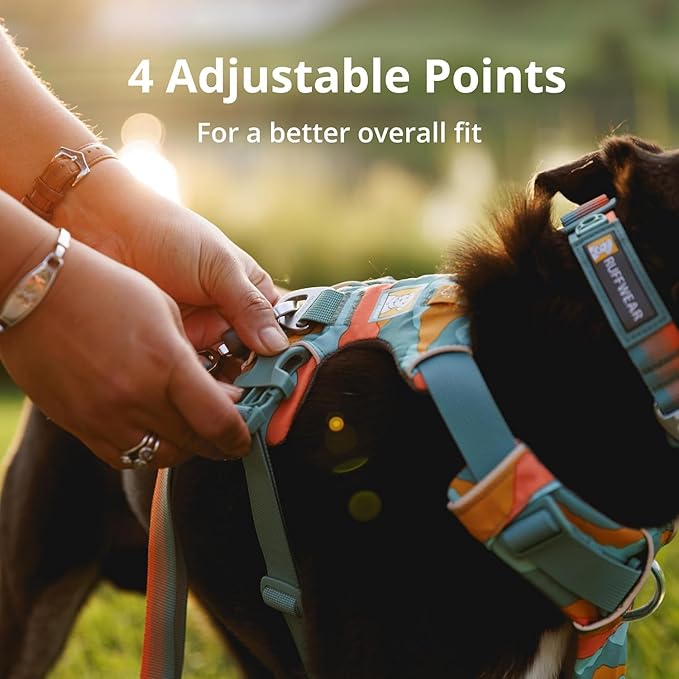Ruffwear, Front Range Dog Harness, Reflective Soft Padded Everyday Harness with Dual Leash Clips, Adjustable and Lightweight Fit for Training or Walking for All Dogs, Coastal Mountains, X-Small