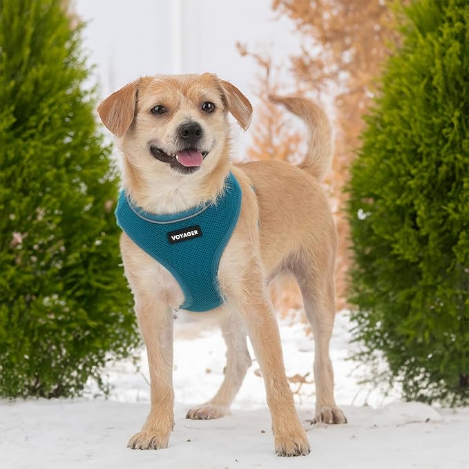 Best Pet Supplies Voyager Aerolite No Pull Mesh Dog Harness, Reflective Stitching, Breathable Harness, Adjustable for Walking, Training, Running, Heavy Duty and Durable, Turquoise, L