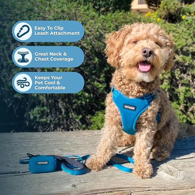 Best Pet Supplies Voyager Adjustable Dog Vest Harness Breathable No Pull Harness for Small, Medium, Large Dogs, Harness for Walking, Jogging, Easy Step-in, Reflective Stripes - Turquoise, M