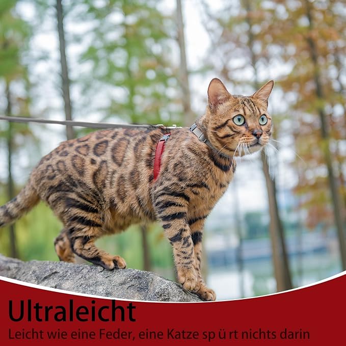 PUPTECK Adjustable Cat Harness and Leash Set Escape Proof Kitten Strap Collar for Walking Travel, Grey/Red Mixed