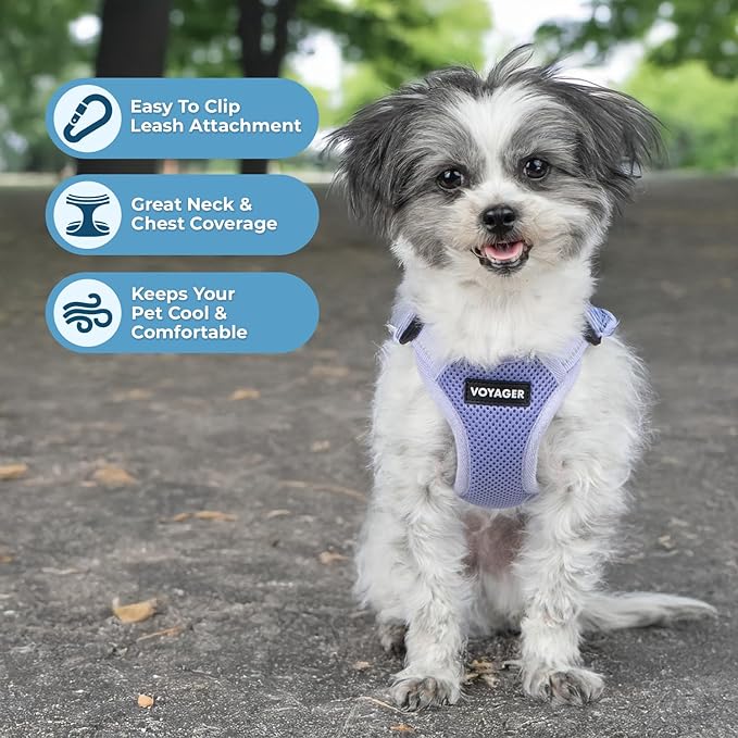 Best Pet Supplies Voyager Adjustable Dog Vest Harness Breathable No Pull Harness for Small, Medium, Large Dogs, Heavy Duty Harness, Easy Step-in, Reflective Stripes - Lavender, XS (Chest: 13-16")