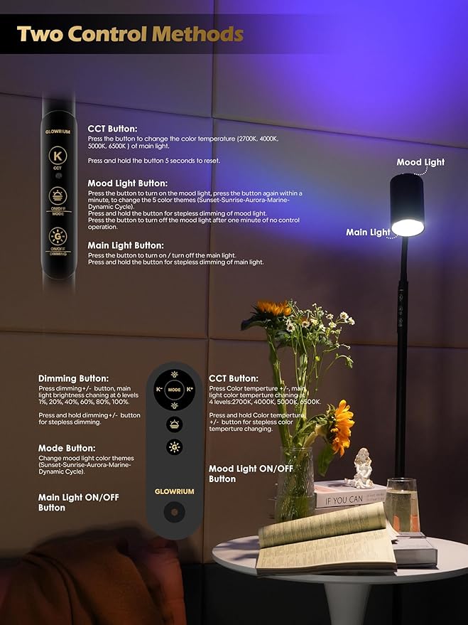 Dual-Side Floor Lamp for Living Room, 17W Tall Standing LED Lamp with Remote, 5 Color Temps & RGB Ambient Modes, Dimmable Reading Lamp with Gooseneck, Modern Black Corner Lamp for Bedroom Home Office