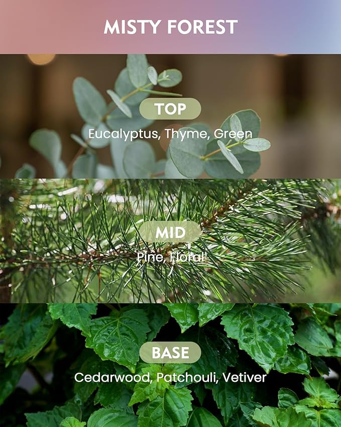 M&SENSE Misty Forest Scented Candle,11.6oz Natural Soy Wax Non Toxic, 3 Wick Jar Candle, Up to 60 Hours Burn time, Home Decor Housewarming Gift for Women and Men