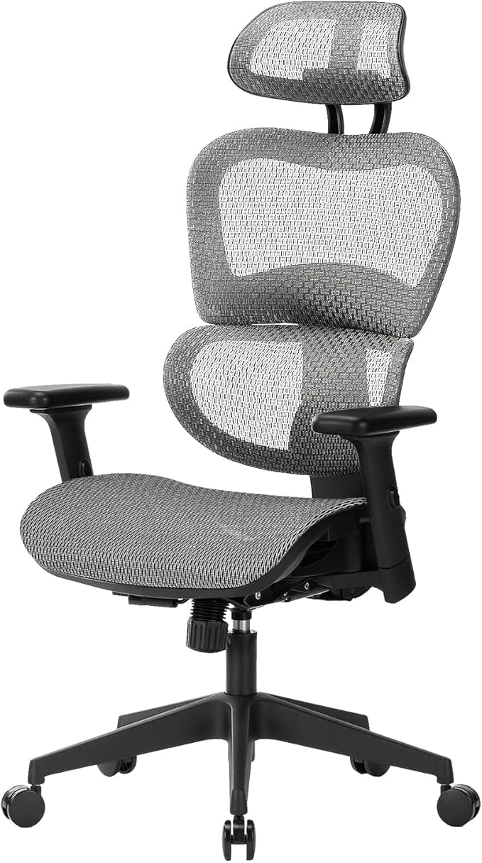 Nouhaus Ergo3dL Home Office Desk Computer Chairs Ergonomic Office Chair High-Back Mesh Rolling Work Chairs with Wheels and Adjustable Headrests Comfortable Lumbar Support Adjustable Armrests,Gray
