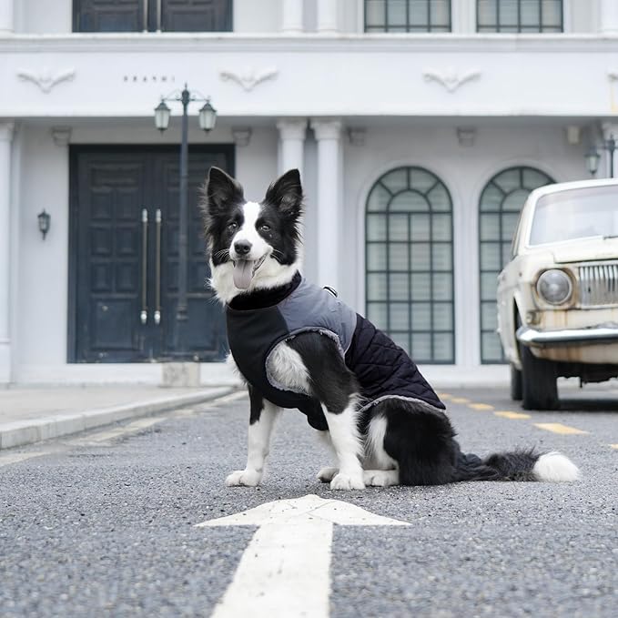 Warm Fleece Dog Coats for Large Dogs,D-Rings Waterproof Puppy Jacket for Cold Winter,Black XXXL