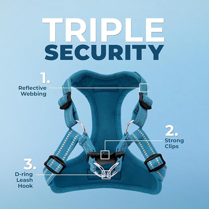 Best Pet Supplies Voyager Adjustable Dog Vest Harness Breathable No Pull Harness for Small, Medium, Large Dogs, Harness for Walking, Jogging, Easy Step-in, Reflective Stripes - Turquoise, M