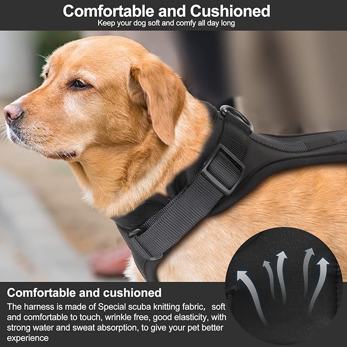 No Pull Lightweight Dog Harness: Adjustable Durable Breathable Mesh Pet Vest Harness with Soft & Comfortable Cushion, for Small Medium Large Dogs (Medium, Black)