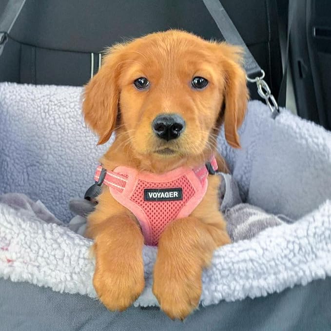 Best Pet Supplies Voyager Adjustable Dog Harness Leash Set with Reflective Stripes for Walking Heavy-Duty Full Body No Pull Vest with Leash D-Ring, Breathable All-Weather - Pink, XS