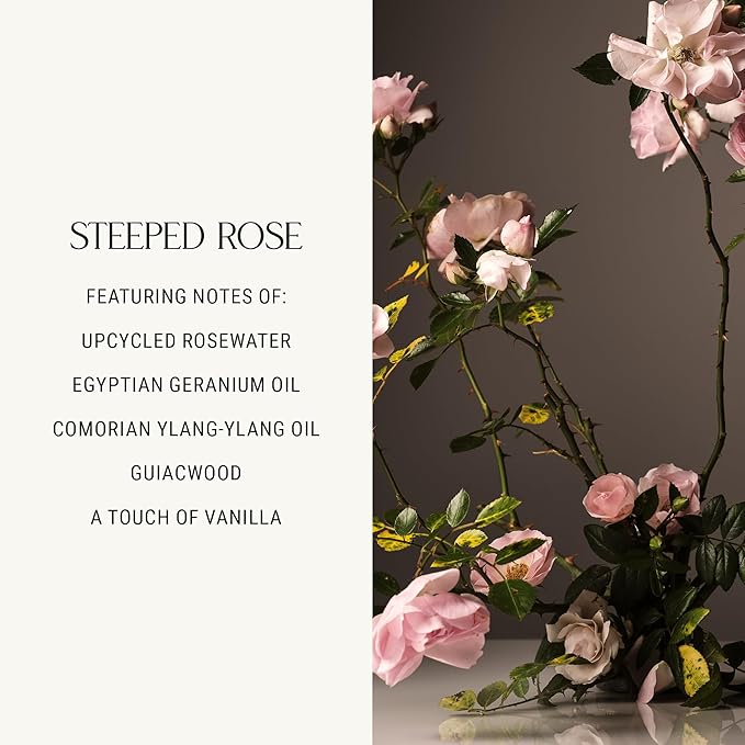 Homecourt Luxury Scented Candle, Steeped Rose Scent, 60-Hour Burn Time, Soy Wax Blend, Organic Candle Wicks for Candle Making - Reusable Ceramic Vessel, 8 Oz - 2.0