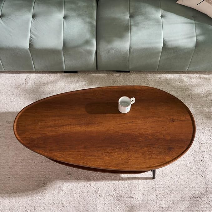 AGV Oval Coffee Table with Storage Shelf, 47" Mid Century Modern Coffee Table for Living Room, Walnut Wood Finish MDF Top with Black Metal Legs