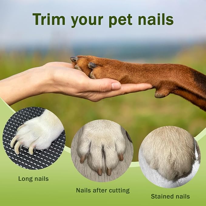Pupnourish Nail Trimmer, 2026 New 2-in-1 LED Dog Nail Trimmers Grinder & Clipper, USB Rechargeable, with Multiple Sanding Ports & Splash Guard, for Dogs & Cats, Pet Paws Grooming Tool (White)
