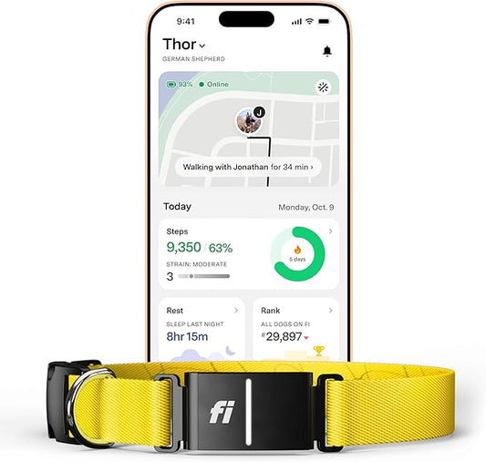 Fi New Series 3+ Smart Dog Tracker Collar [12 Month Membership Included] GPS Tracker for Dogs with Health & Behavior Monitoring, Escape Alerts, Waterproof, LED, Apple Watch Compatible (Yellow, Small)