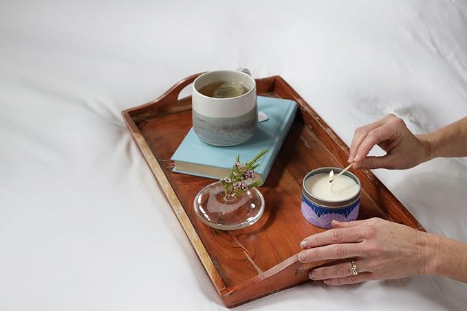 GoodLight Paraffin-Free Scented Candle, Clean Burning Non-Toxic Tin Candles, Citronella Essential Oil Scented Travel Candle