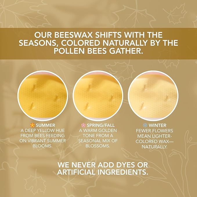 Fall Fresh Cinnamon Bark Essential Oil - Warm & Spicy Pure Beeswax Candle - 90+ Hours Long Burning - Non-Toxic Scented Candles for Autum Home Decor & Aromatherapy for Anxiety Relief - Natural - 15 OZ