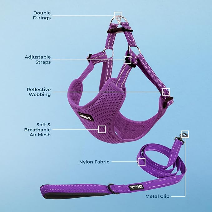 Best Pet Supplies Voyager Adjustable Dog Harness Leash Set with Reflective Stripes for Walking Heavy-Duty Full Body No Pull Vest with Leash D-Ring, Breathable All-Weather - Purple, XL