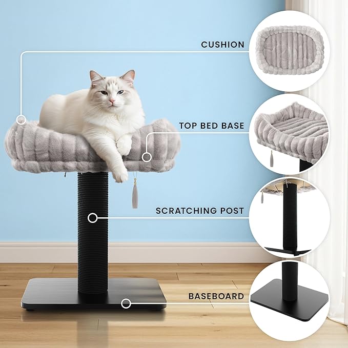 Modern Scratching Post for Indoor Cats - 15” High Cat Scratching Post with Bed Breeds - 15.7” x 11.6” Removable & Washable Cushion (Black Post with Gray Bed)