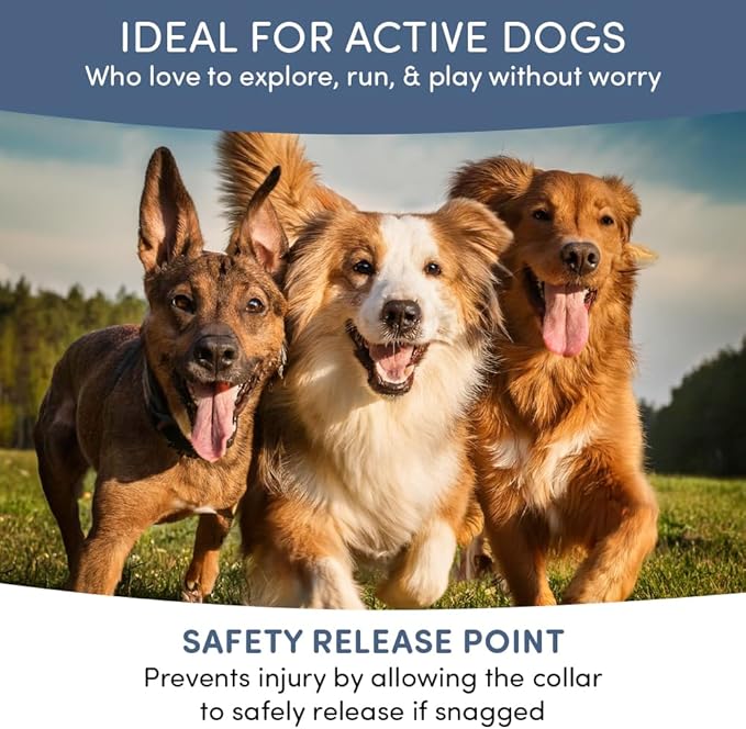 Natural Flea and Tick Collar for Dogs & Cats – 8 Month Protection – Waterproof, Adjustable – 2 Pack – Essential Oils, Chemical-Free, Safe for Pets, People & The Planet