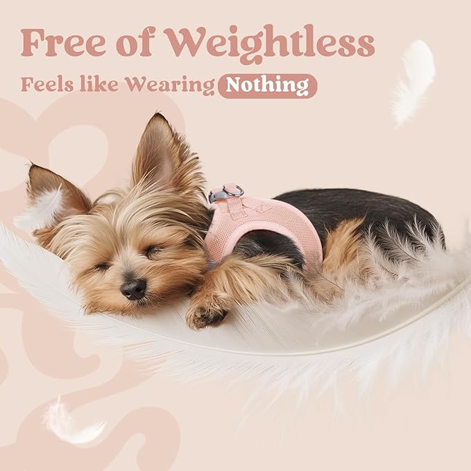 rabbitgoo Small Dog Harness, Step-in Soft Mesh Puppy Vest with Safety Buckle, Breathable Reflective Pet Harness for Extra Small Dogs, Pink XXS